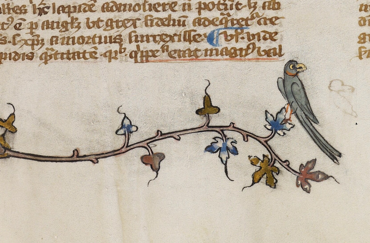 Oxford, Bodleian Library MS. Laud Misc. 281 fol. 184r
